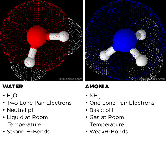 Water and Amonia