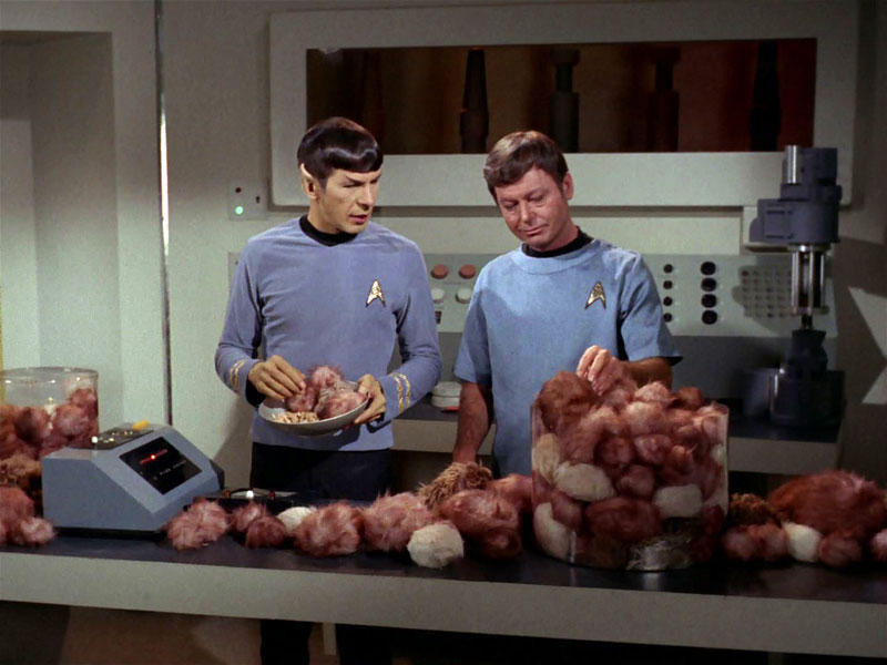 Spock and Bones in “The Trouble with Tribbles”
