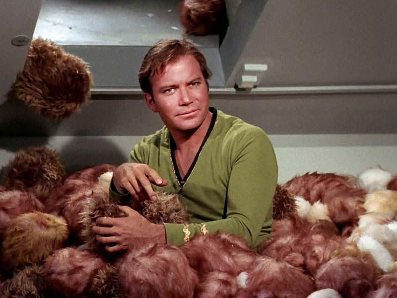 From “The Trouble With Tribbles”