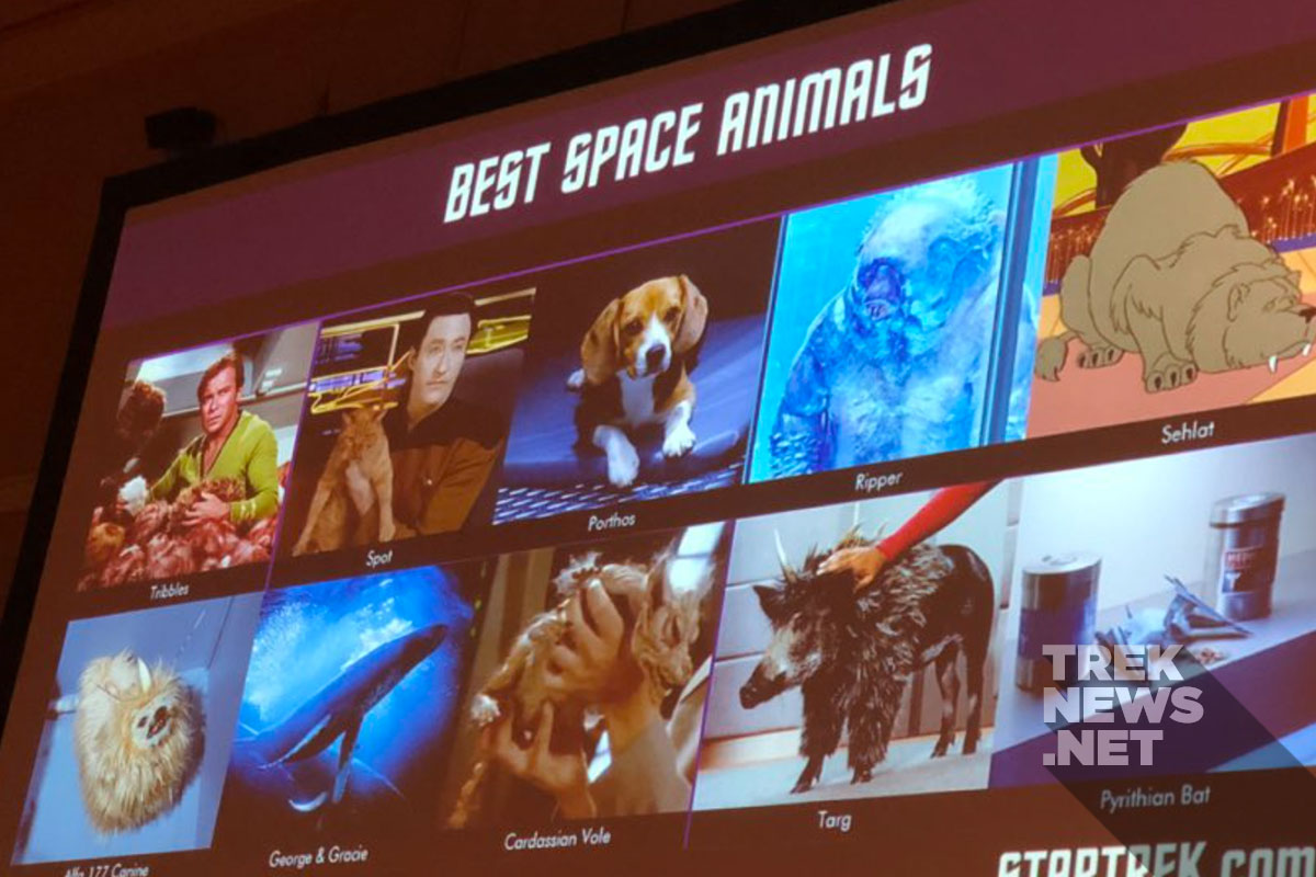 Top 10 “space animals” of Star Trek