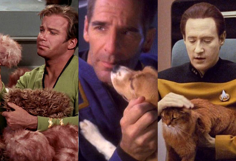 [#STLV] Star Trek's Top Ten Space Animals Ranked